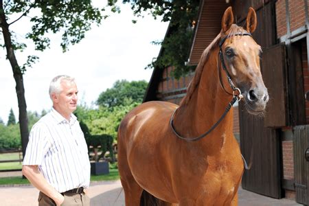 breitling hengst|Breitling W – The Horse Magazine.